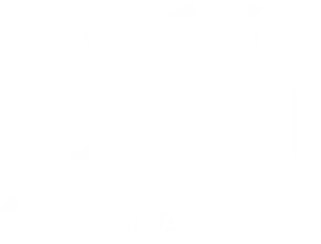 Company ally